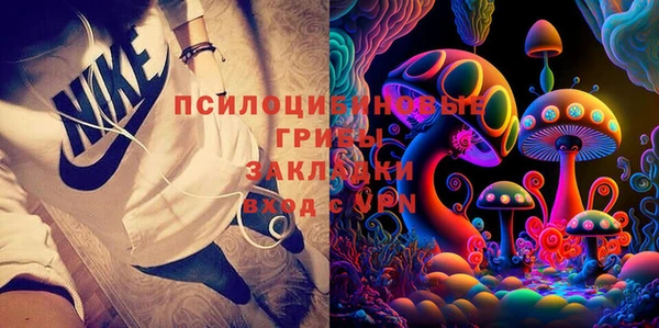 мяу мяу мука Аркадак