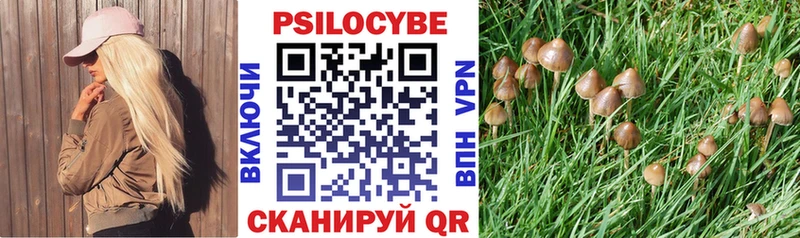 Псилоцибиновые грибы GOLDEN TEACHER  дарнет шоп  Судак 